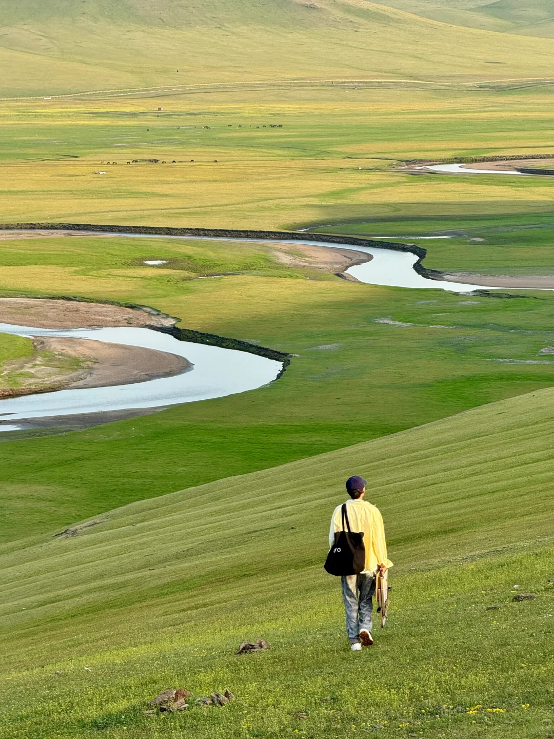 live图被草原治愈了，美的让人失语～