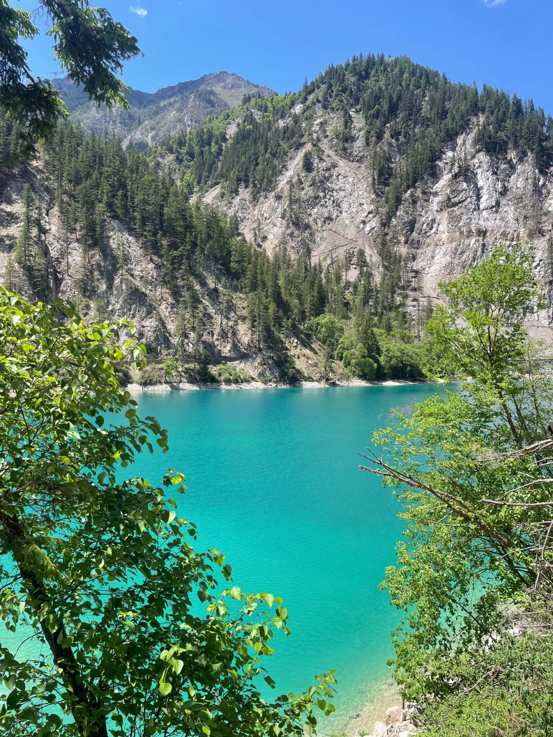 九寨沟刚发布的旅游通知❗️幸好提前看到了😭