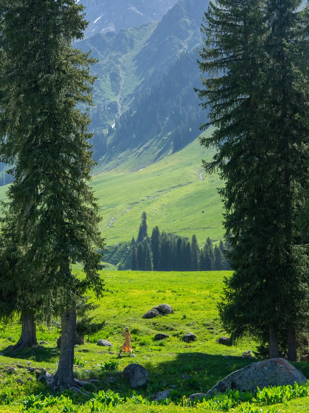 新疆yyds！这个小众古道今年一定会火！