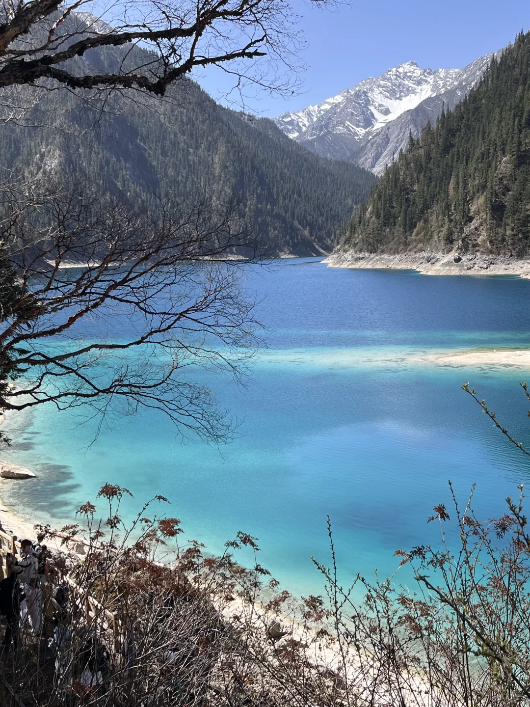 九寨沟两日游攻略｜带爸妈慢旅行