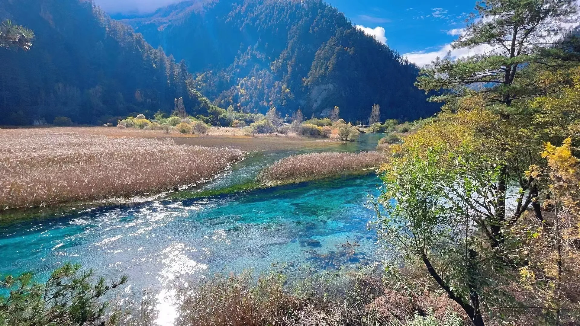 推荐各种价位最有性价比的旅游攻略