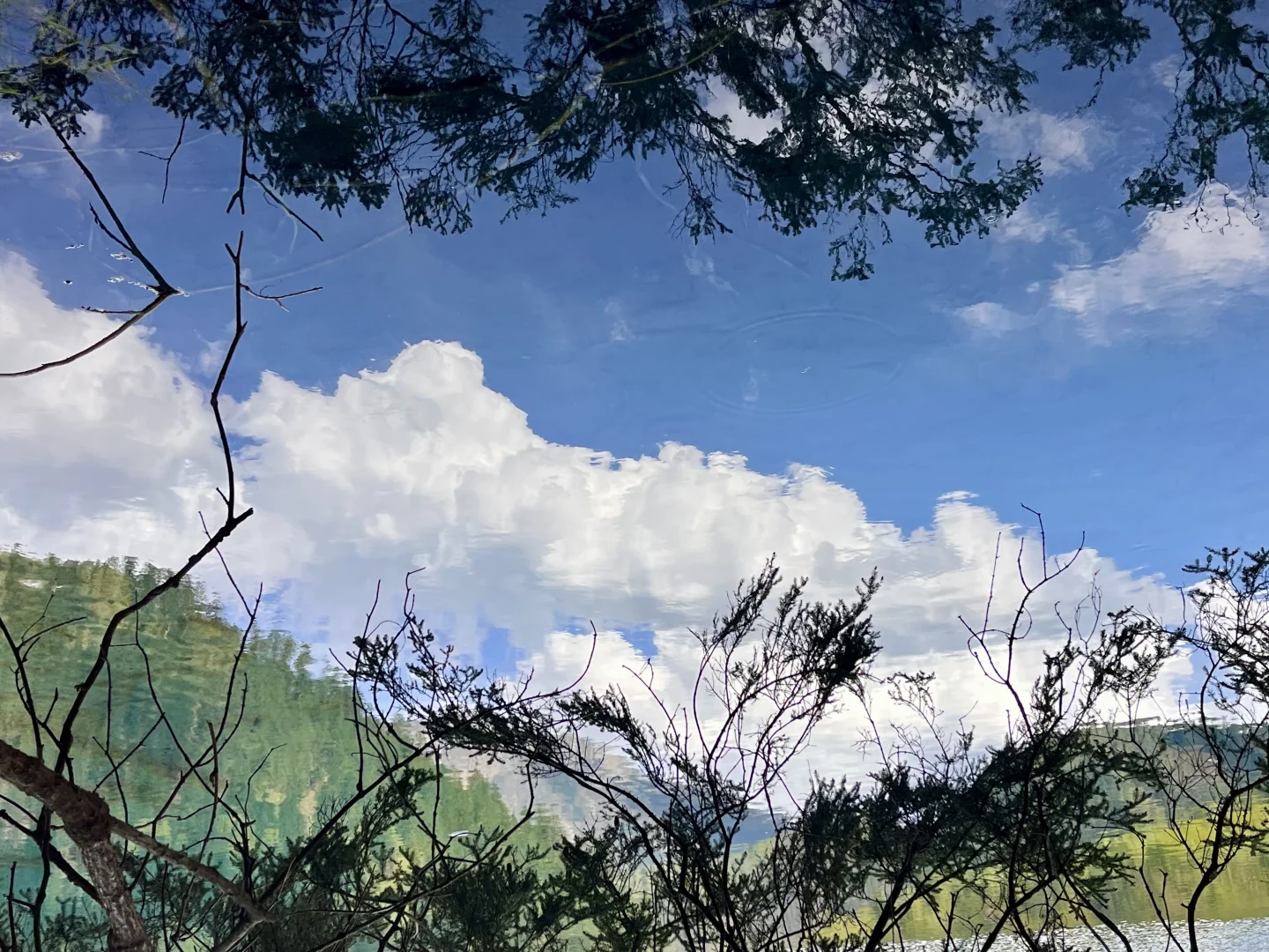 九寨沟两日游攻略｜带爸妈慢旅行