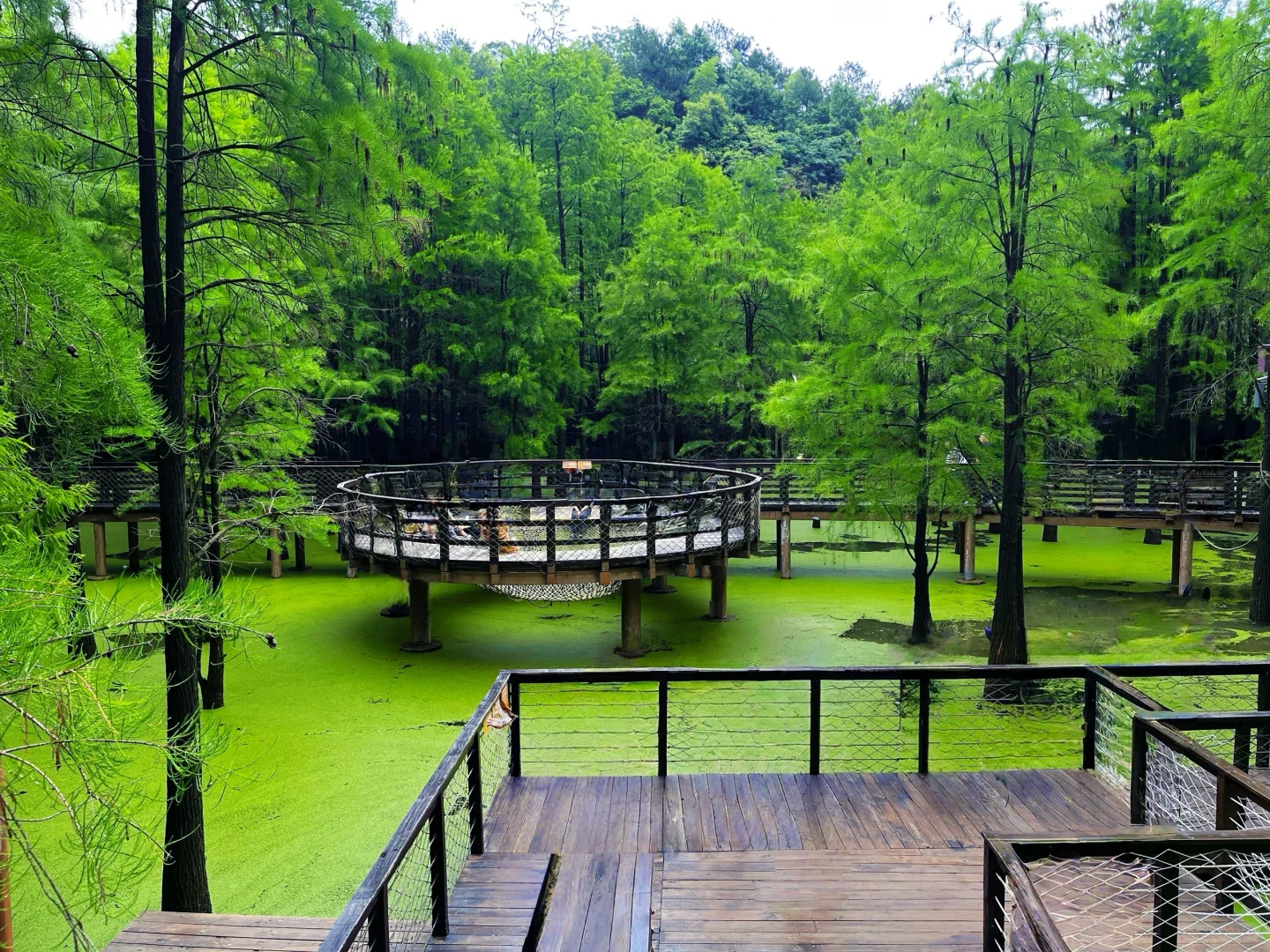 谁说绿野仙踪只在童话里⁉️