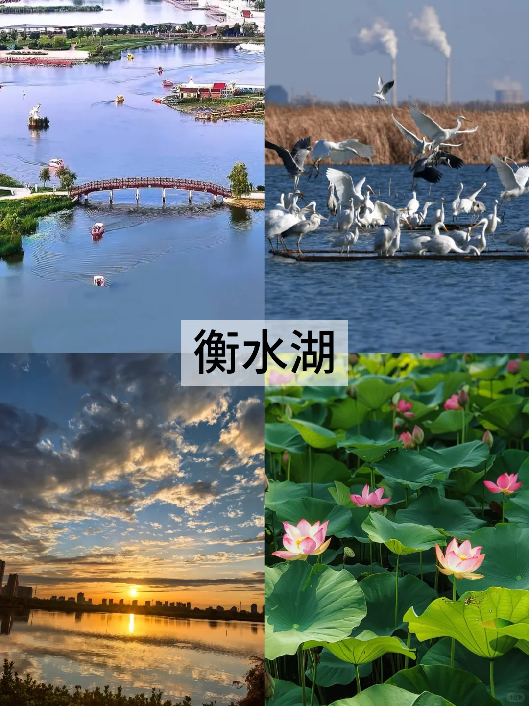 衡水旅游，10个必玩旅游景点