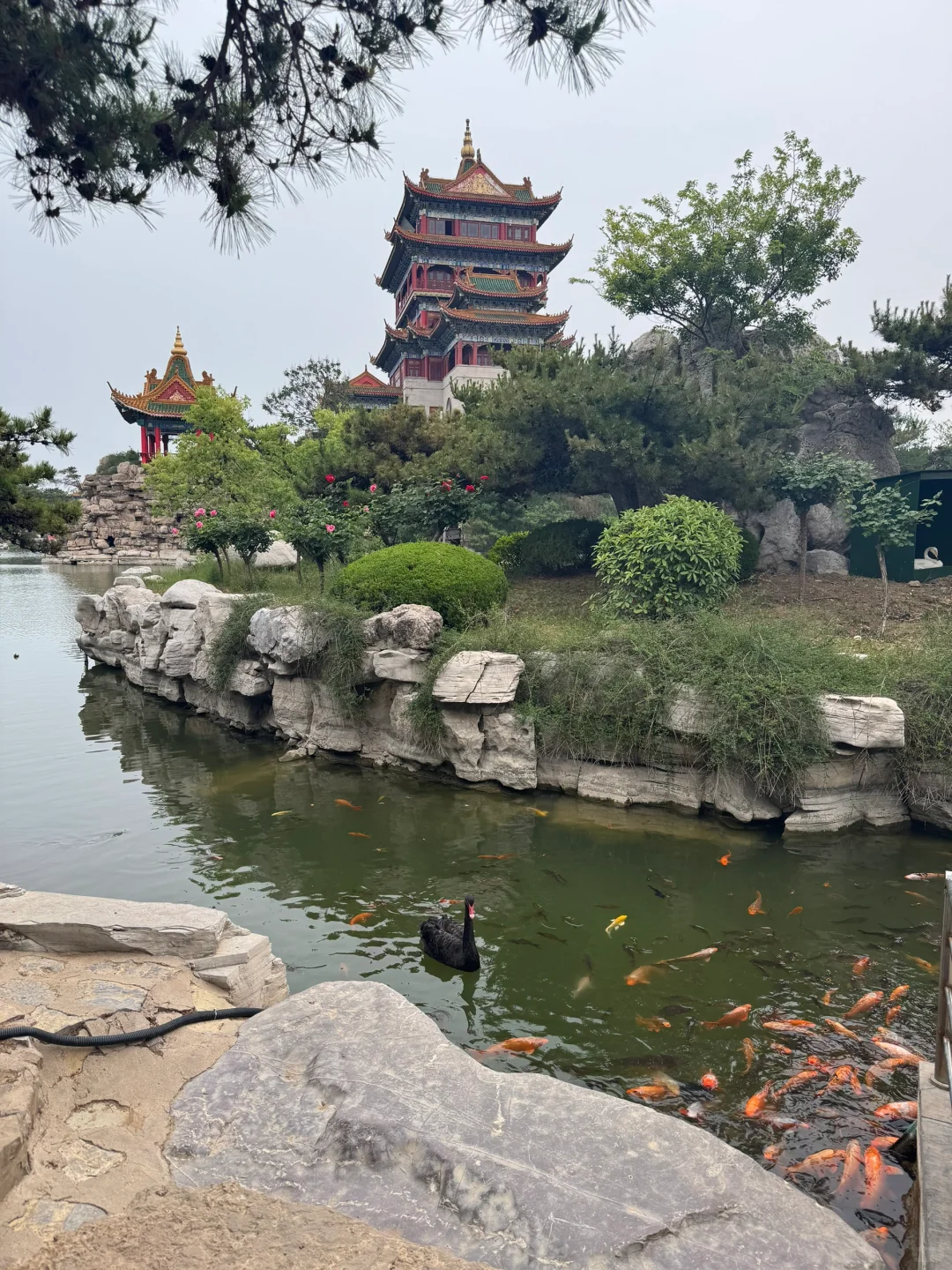 蓬莱一日游旅行攻略