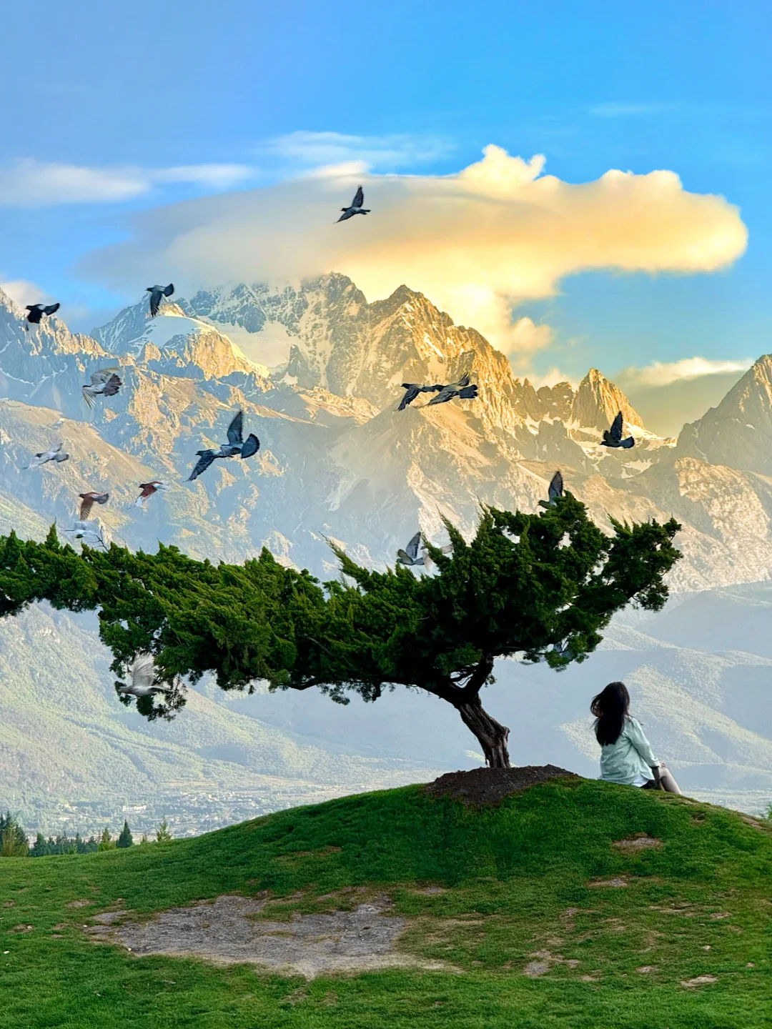 花30在丽江拍到人生照片 香巴拉牧场的鸽群