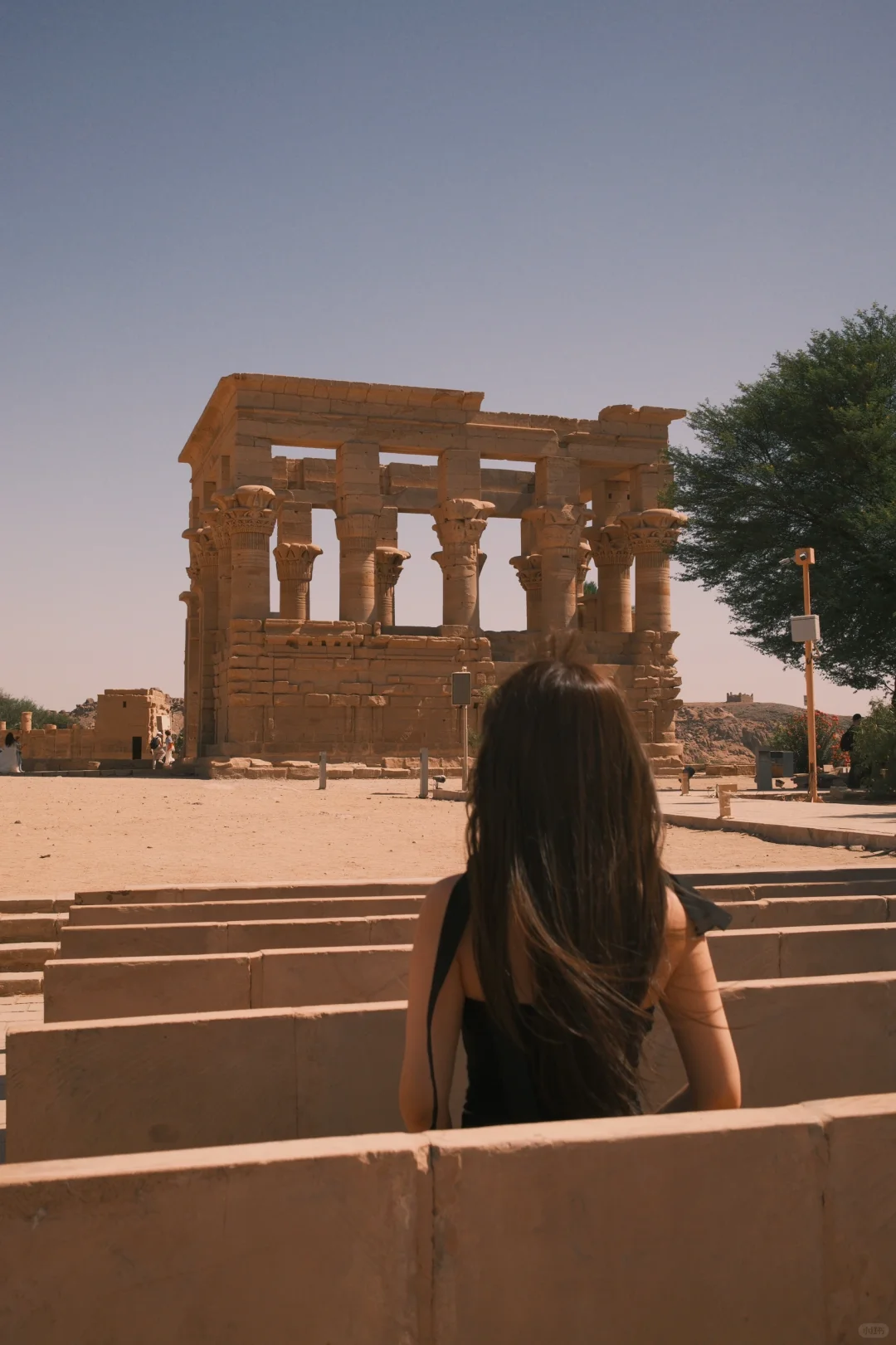 埃及旅游攻略| 女生10天9晚自由行超详细版