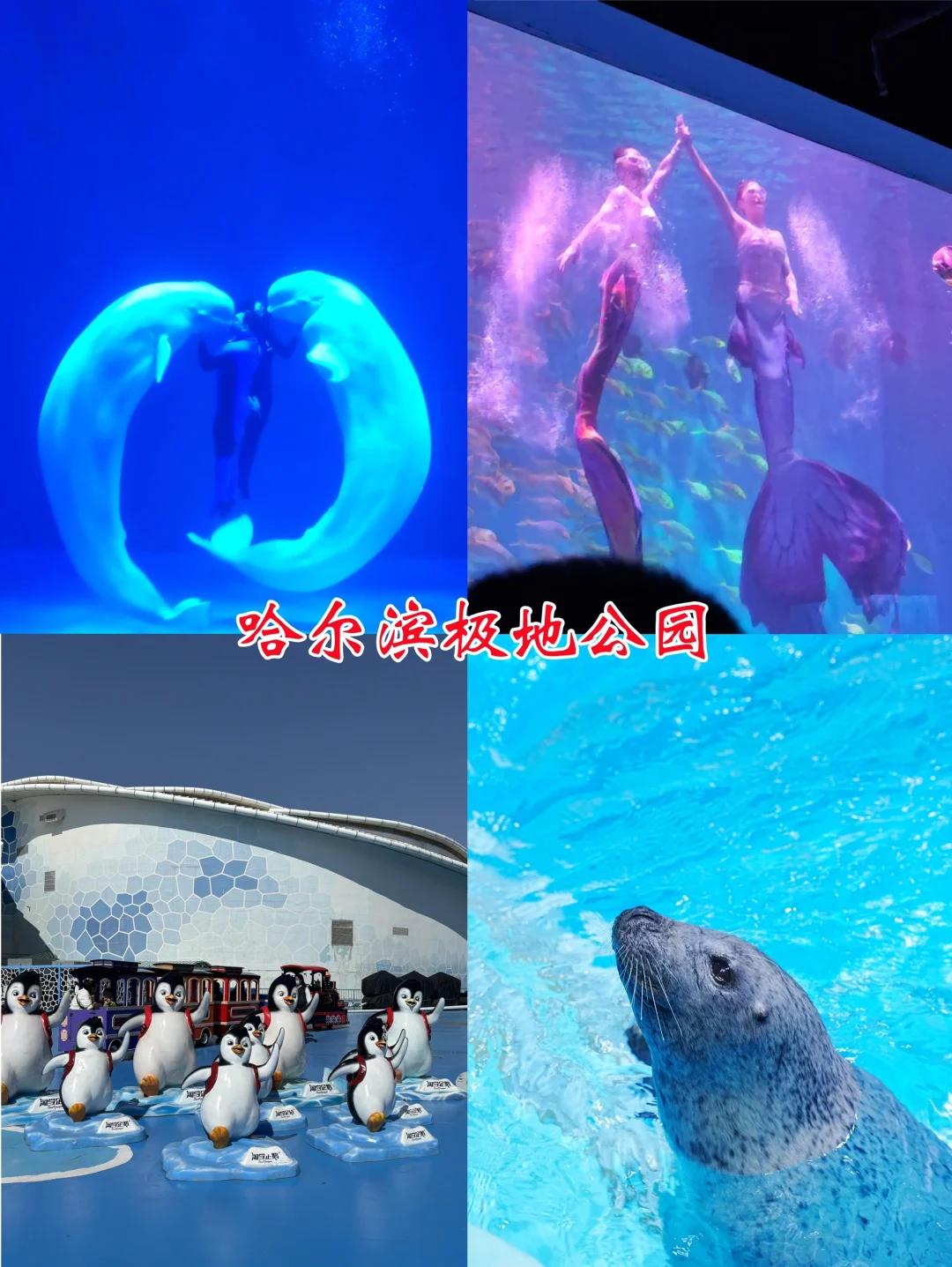 五一去哪儿|哈尔滨三天两晚旅游攻略请收好