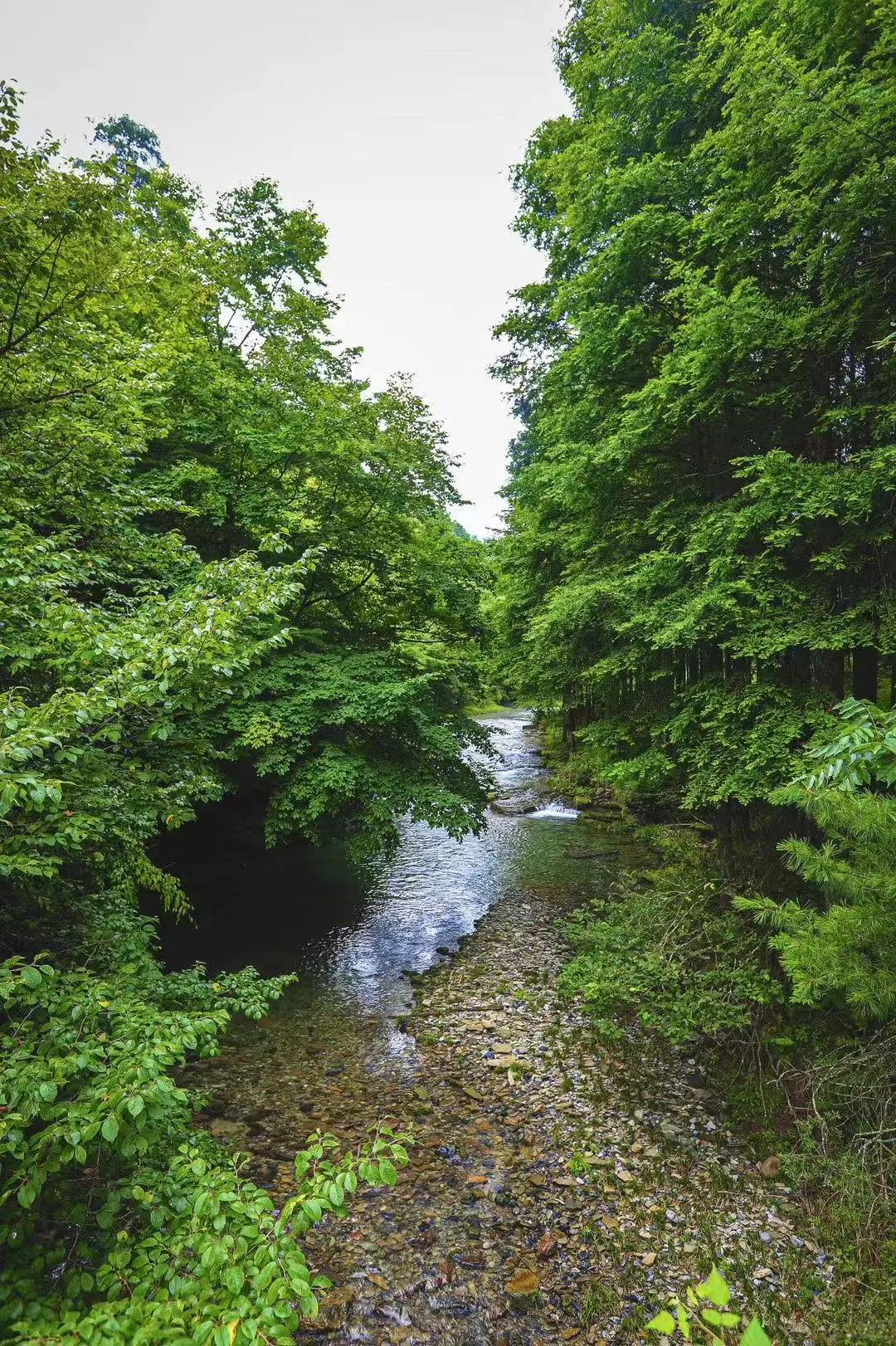 🌲被问爆的汉中秦巴古道自驾路线来了!
