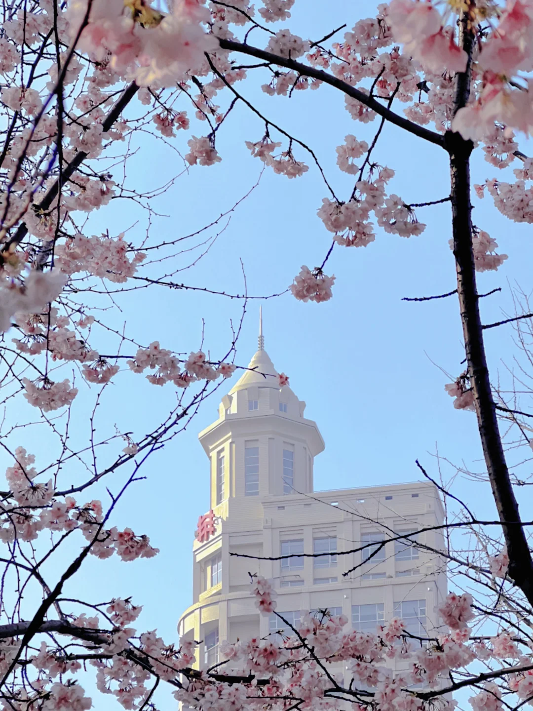 人生建议:去完这17个地方再离开上海(免费