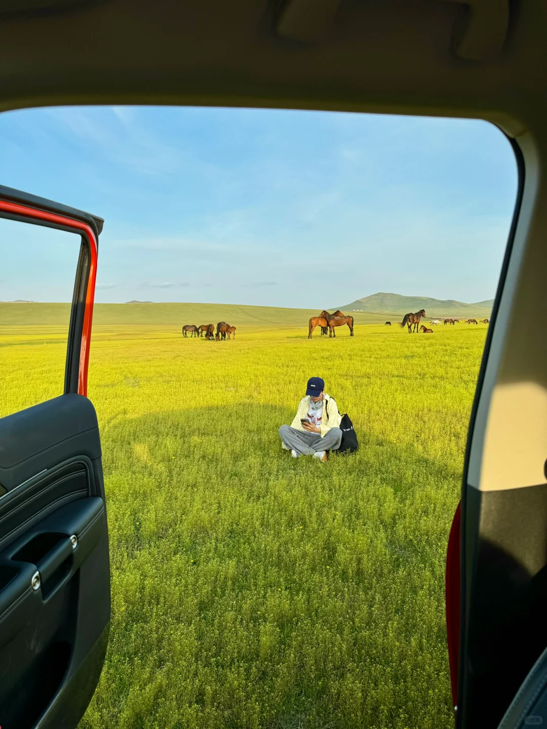 live图被草原治愈了，美的让人失语～