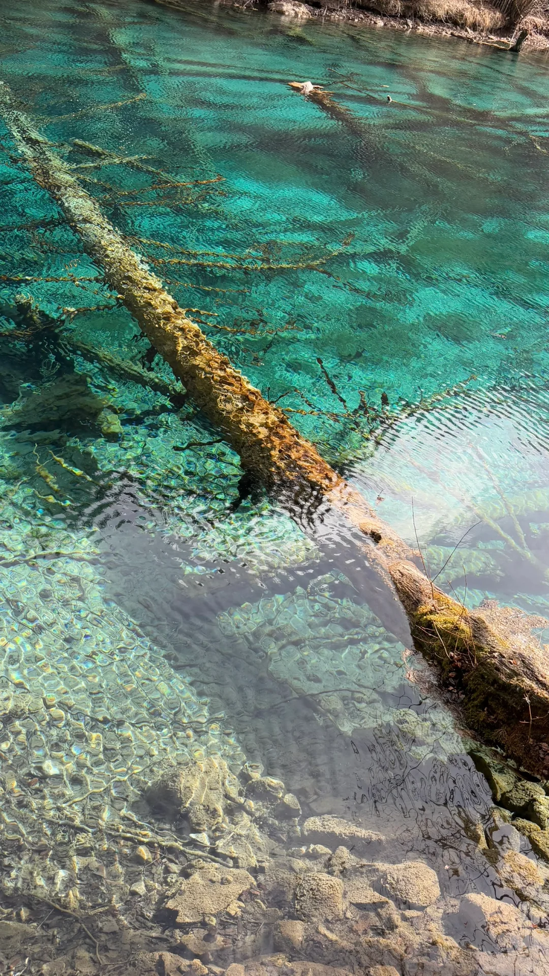 5A只是风景区的上限，不是九寨沟的上限