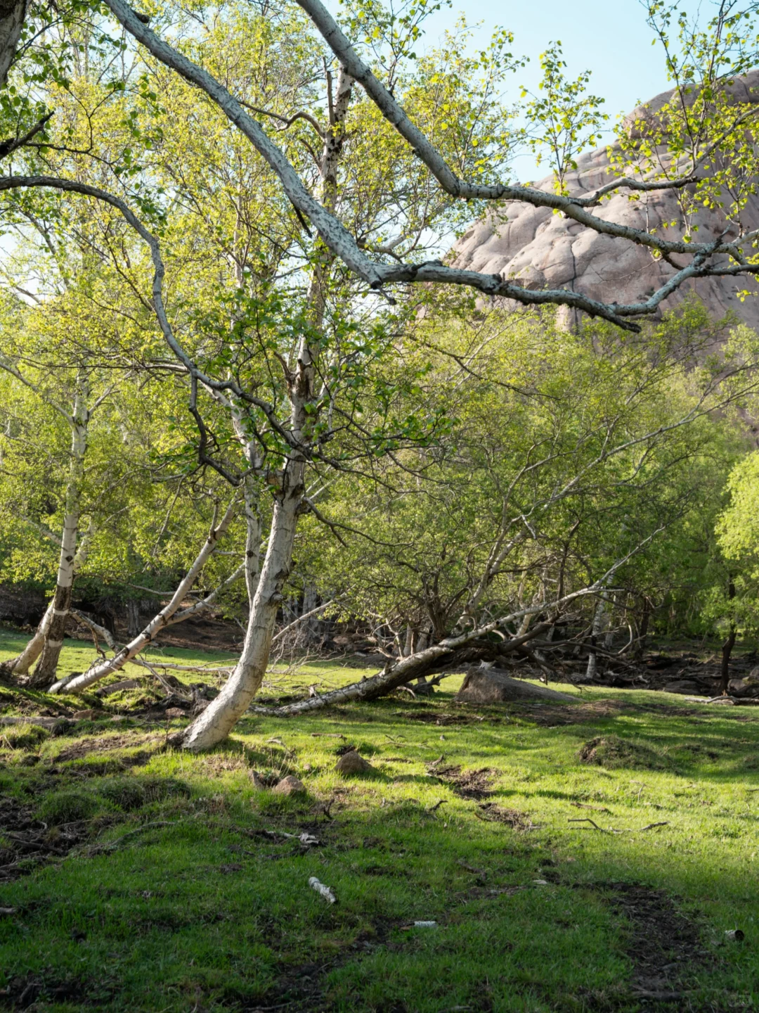 北京出发赤峰大青山经典草原塞尔达