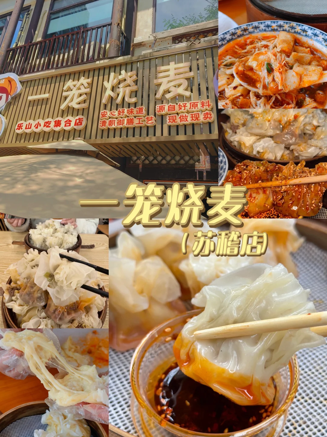 乐山旅游|本地人带路!保姆级打卡攻略✨