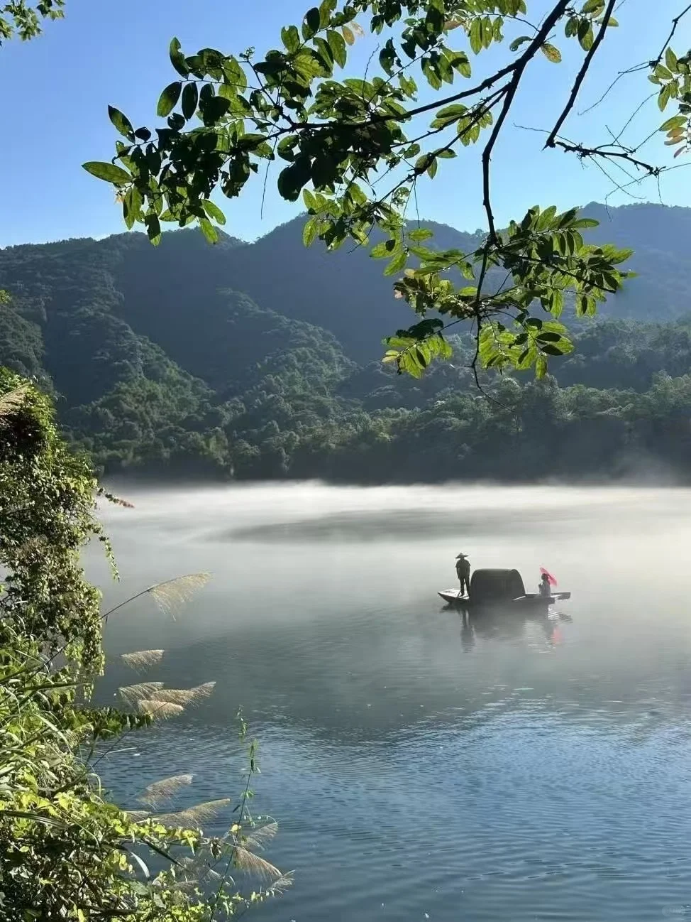 小东江6月实况 | 90%的游客忽略的小众景点