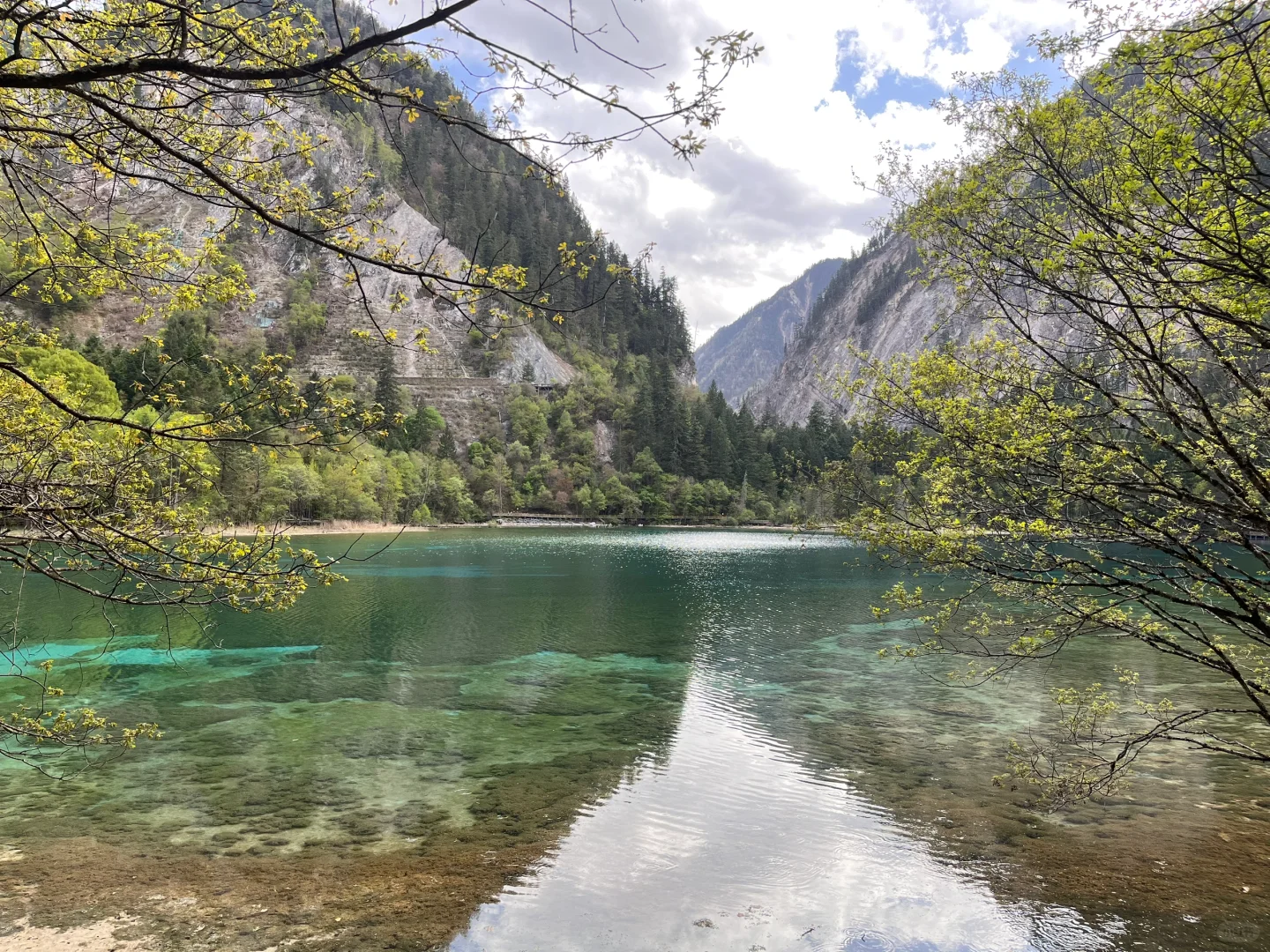 九寨沟两日游攻略｜带爸妈慢旅行