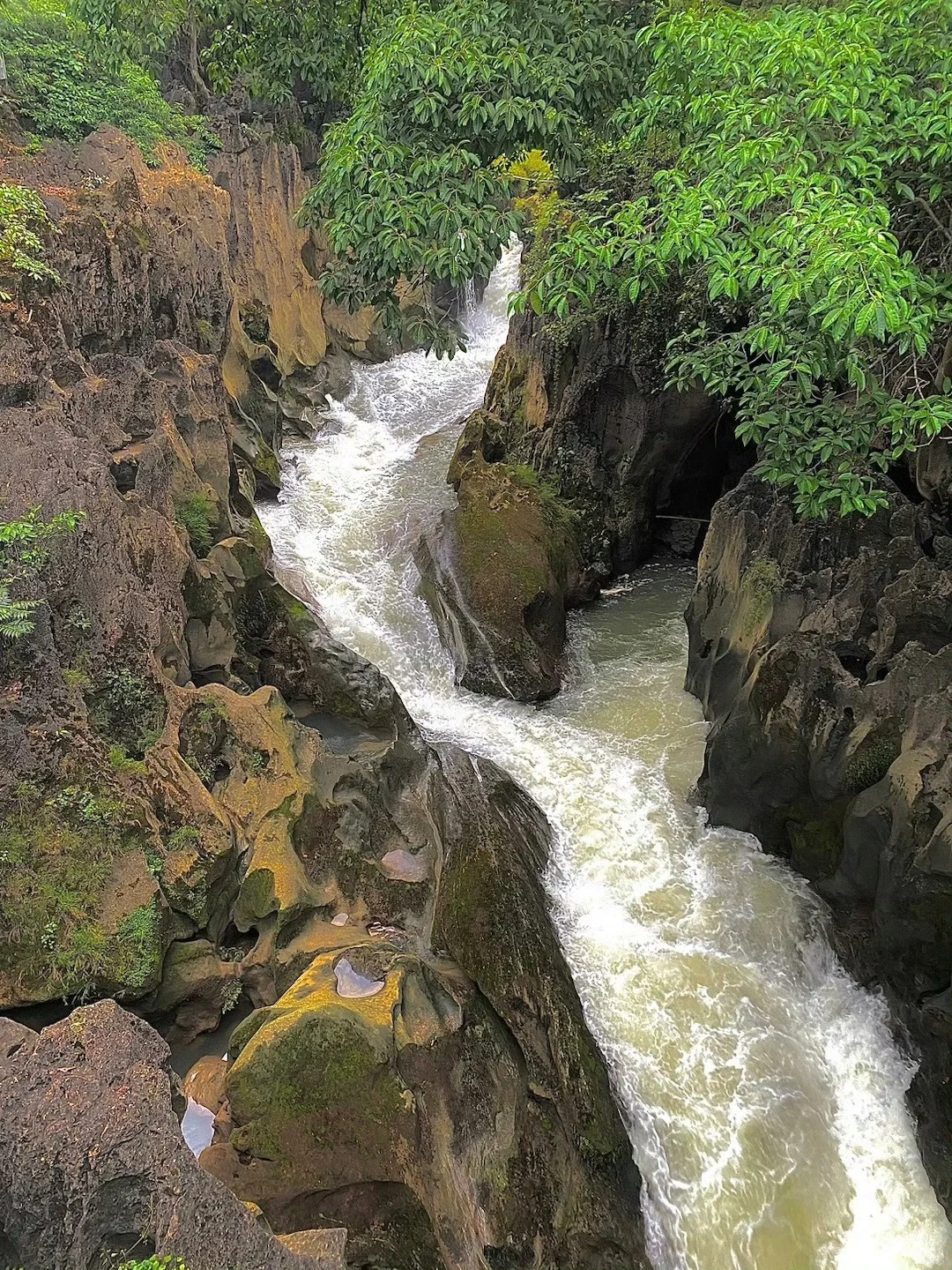 5.28📍黄果树瀑布已回，真心建议6月来的😅……