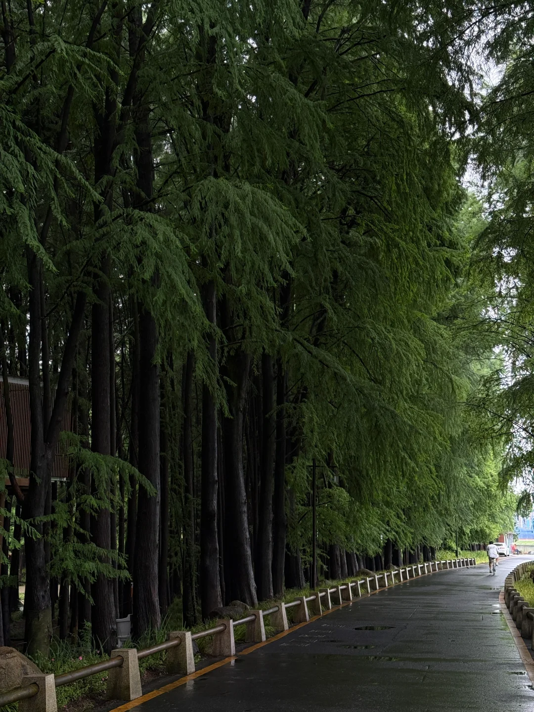 00后旅游搭子蹲蹲！主打一个发疯式快乐旅行