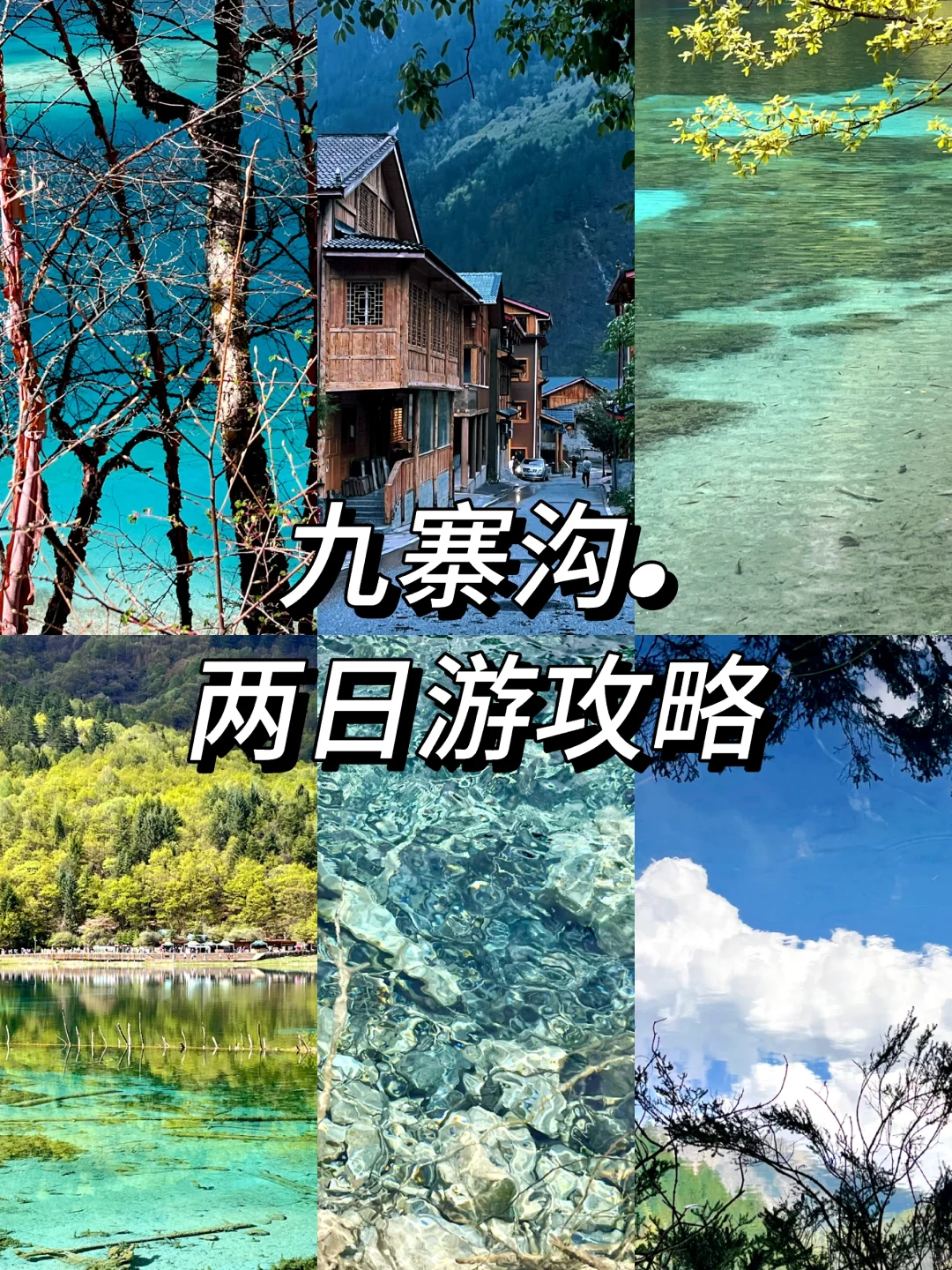 九寨沟两日游攻略｜带爸妈慢旅行