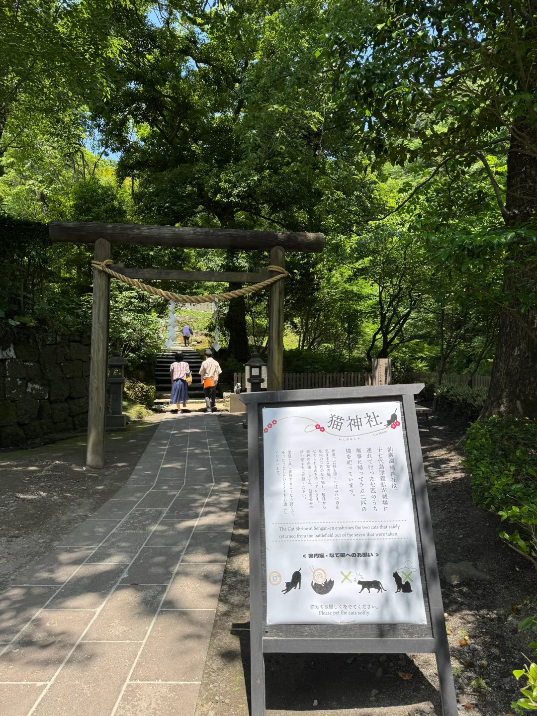 如果你只有24小时在鹿儿岛|超强景点推荐