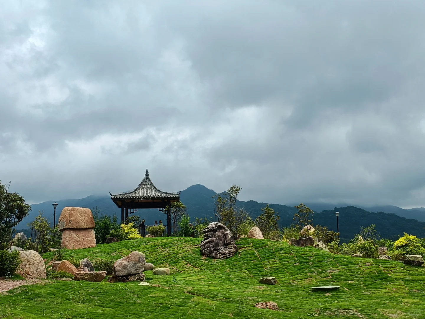 永福杜鹃谷：趁明年春天可能收💰前赶紧冲