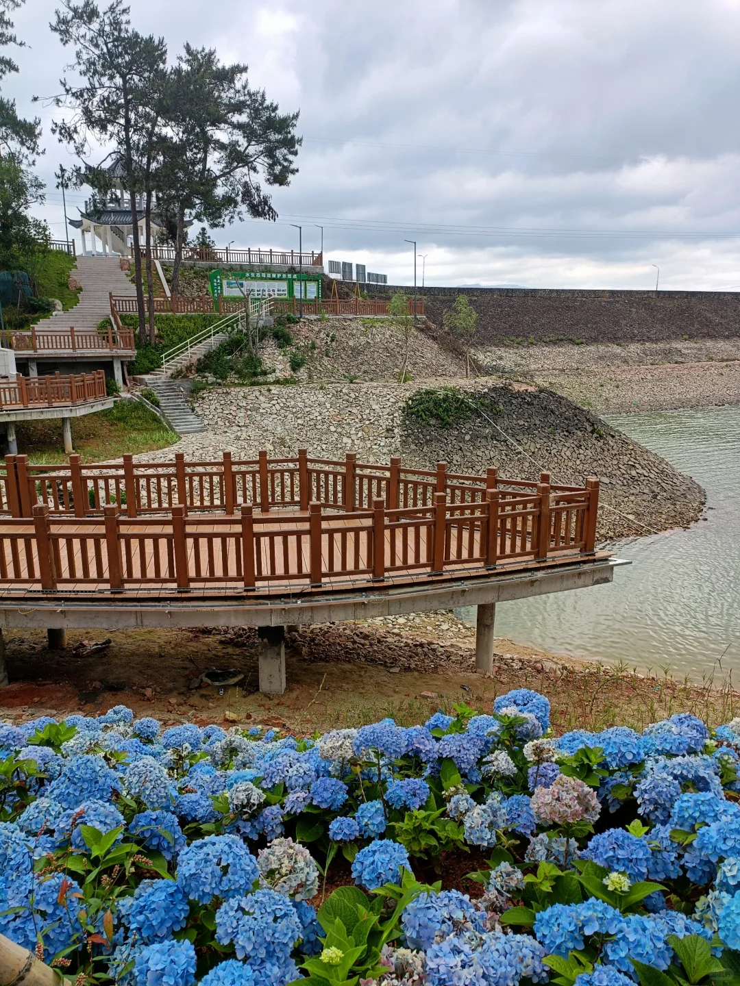 永福杜鹃谷：趁明年春天可能收💰前赶紧冲