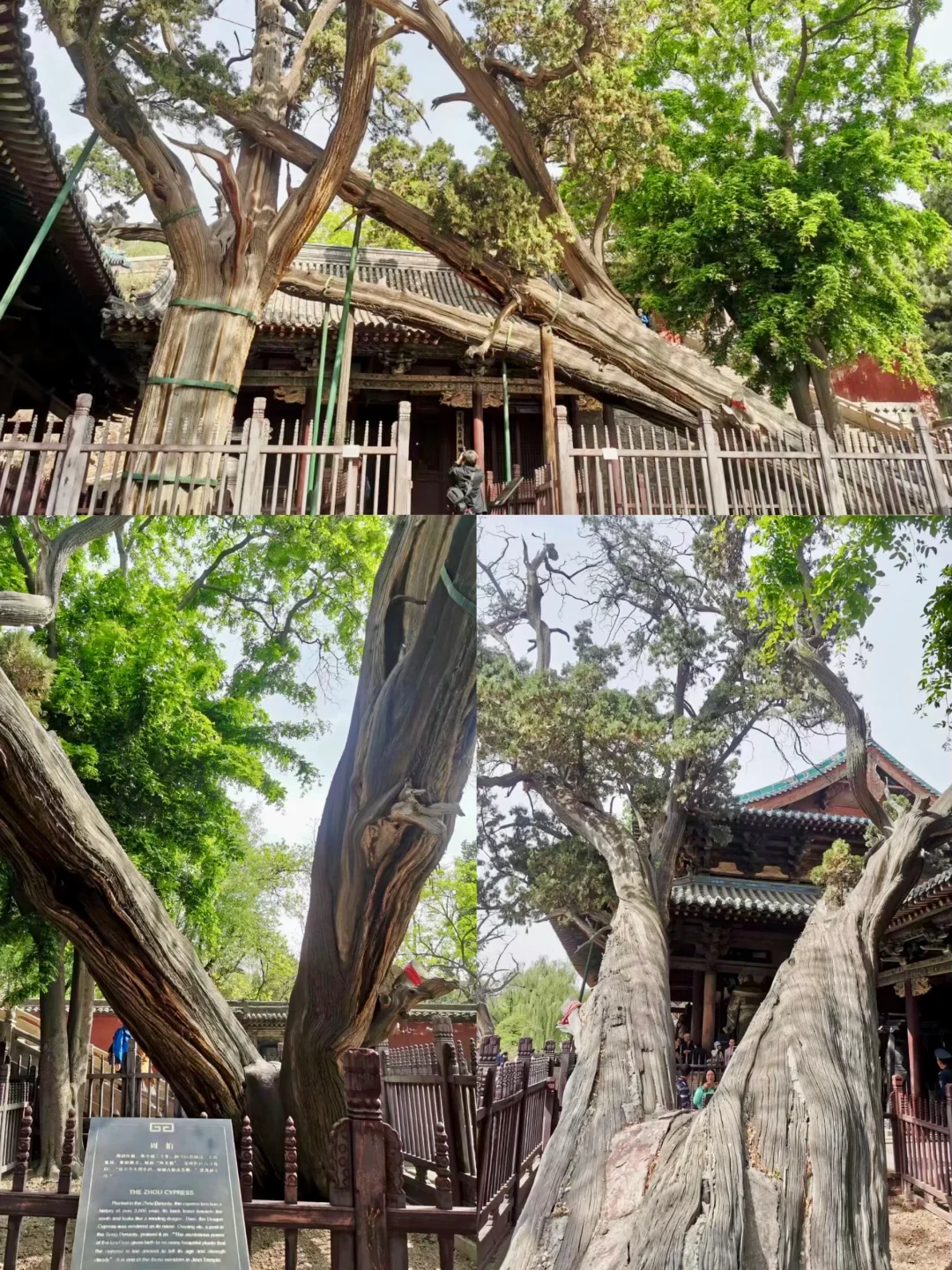 一张图“解锁”太原·景点攻略