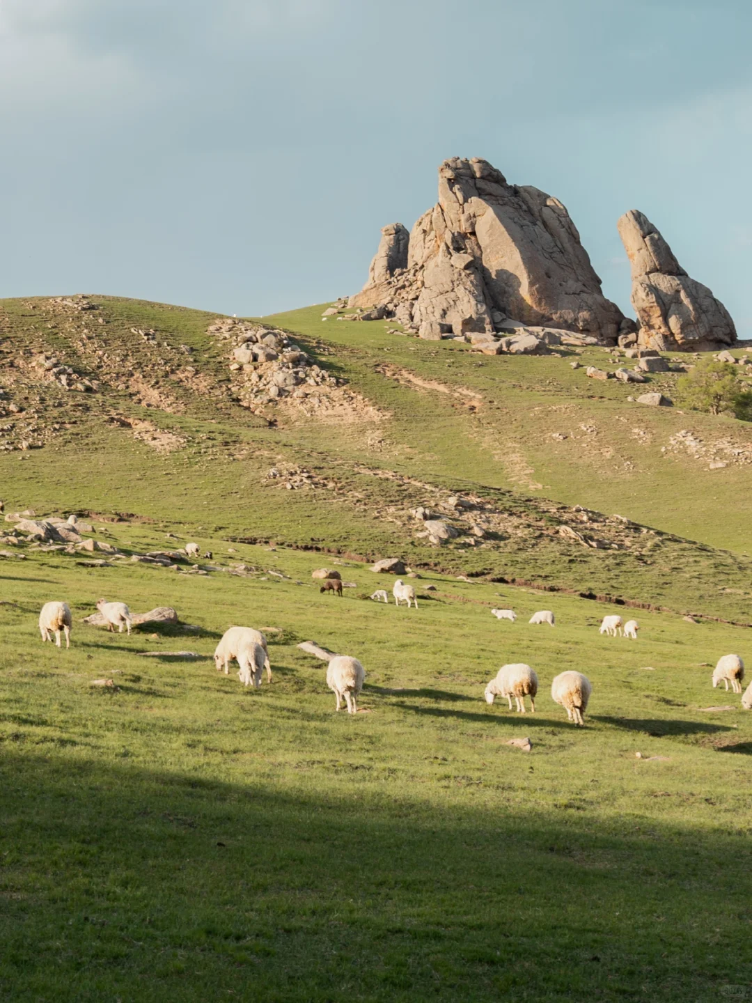 北京出发赤峰大青山经典草原塞尔达