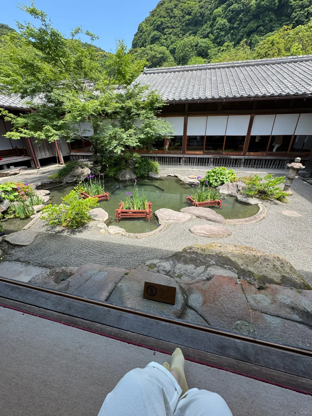 如果你只有24小时在鹿儿岛|超强景点推荐