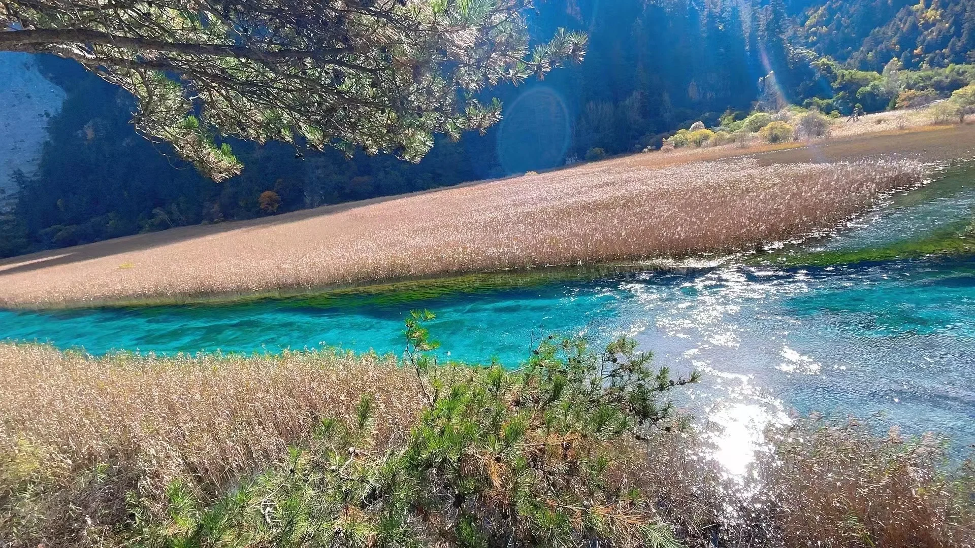推荐各种价位最有性价比的旅游攻略