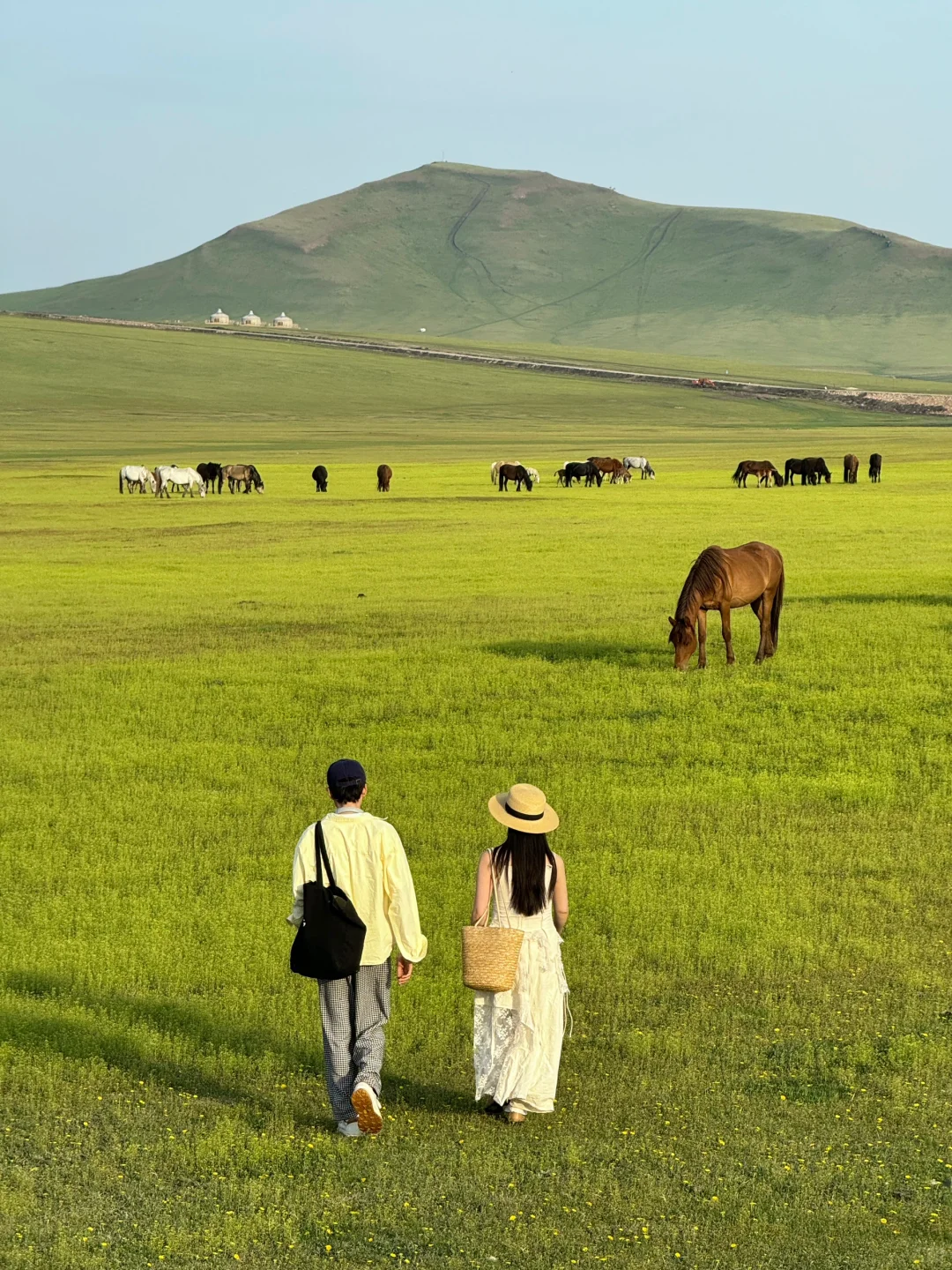 live图被草原治愈了，美的让人失语～