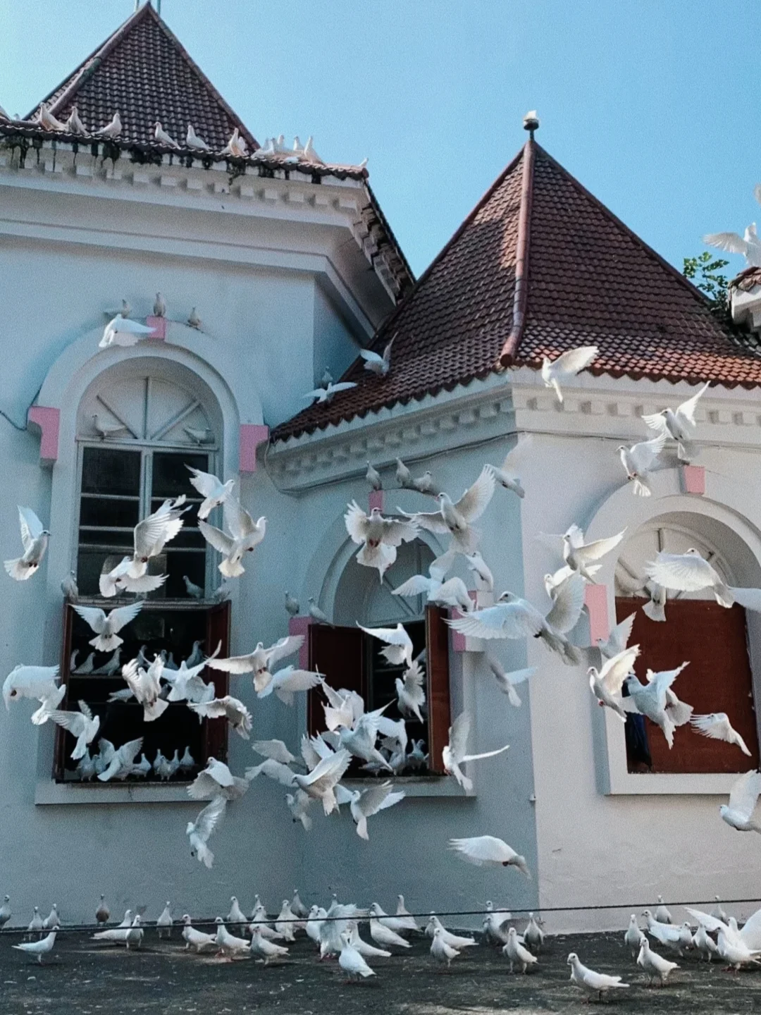 乐山旅游|本地人带路!保姆级打卡攻略✨