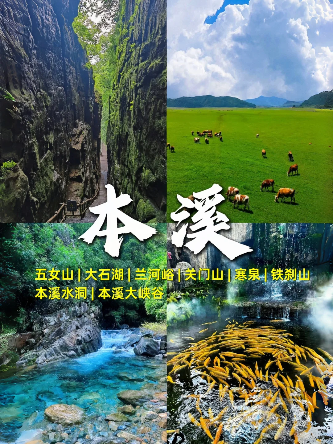 东北9个最值得去的城市🔥东北游玩攻略