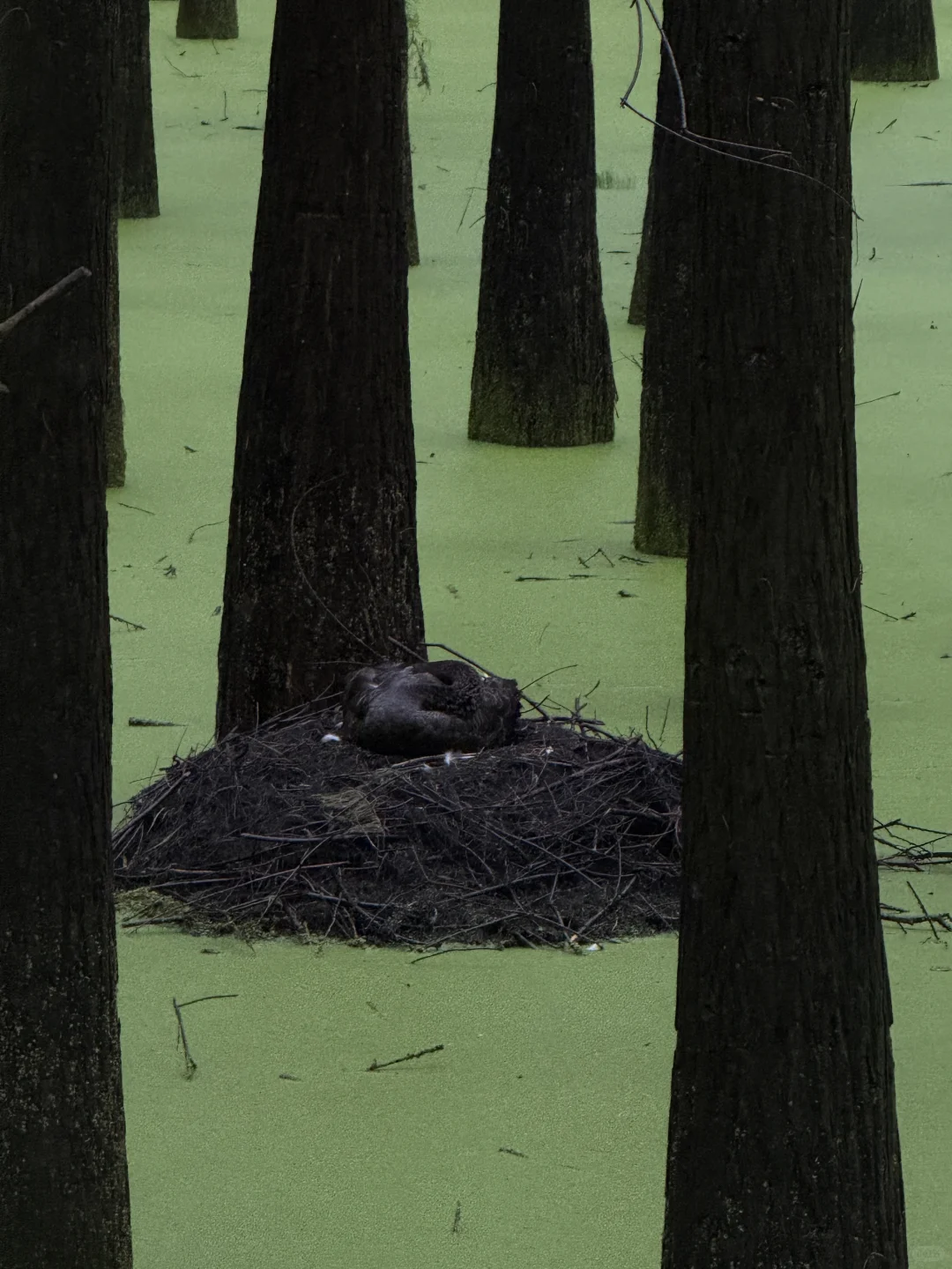 00后旅游搭子蹲蹲！主打一个发疯式快乐旅行