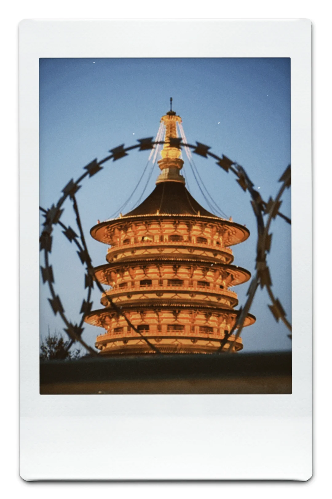 洛阳这些景点收费合理吗🙃