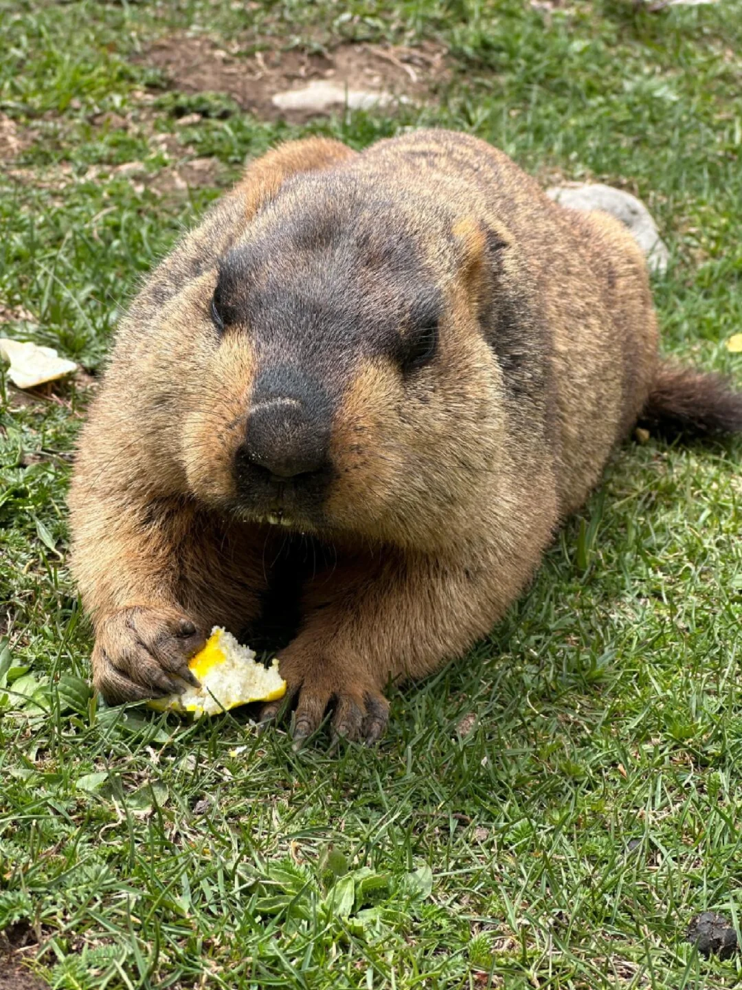 6.1📍甘南已回,说点难听的大实话。。