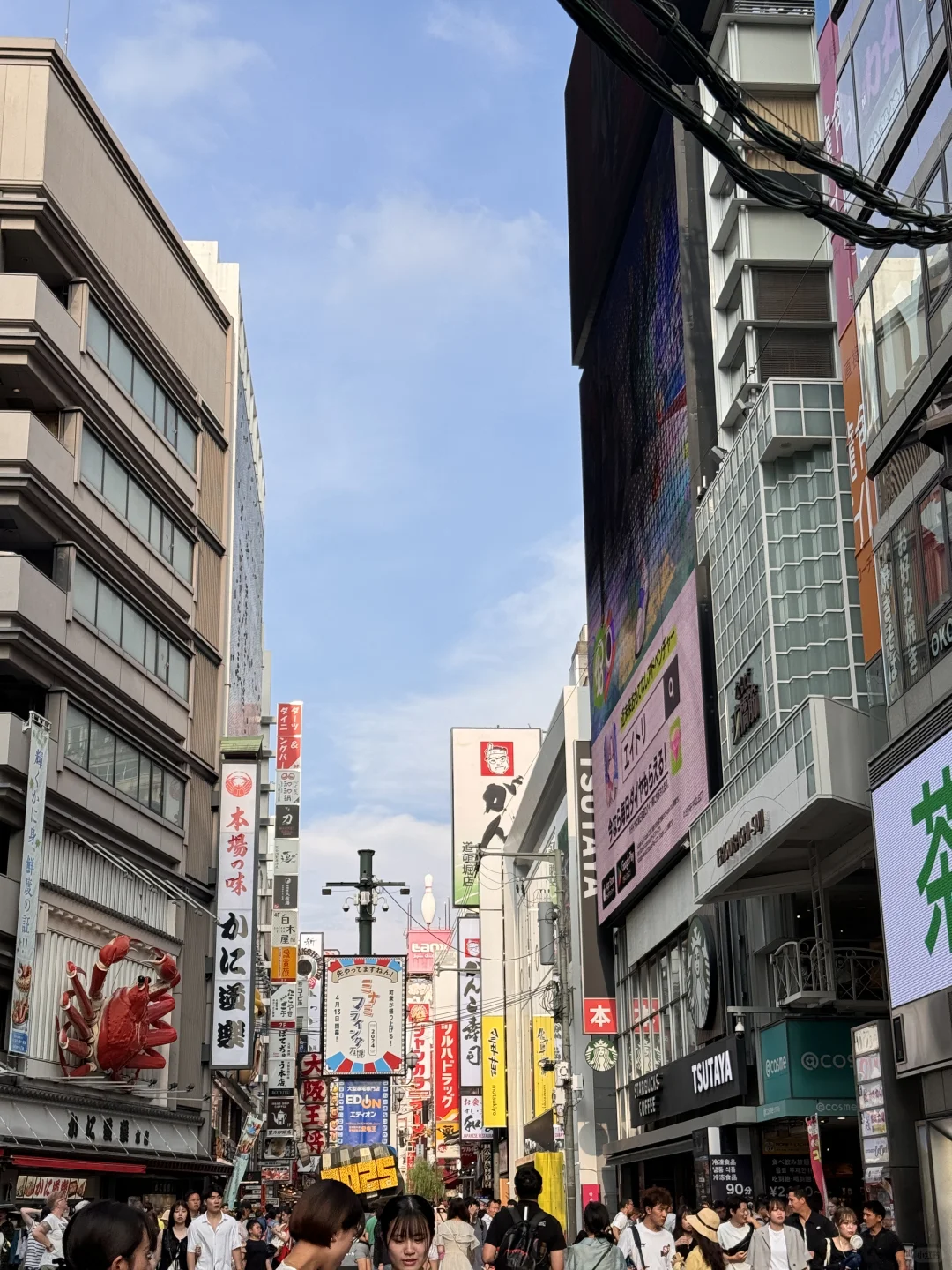 🇯🇵日本7日路线｜自由行不迷路！