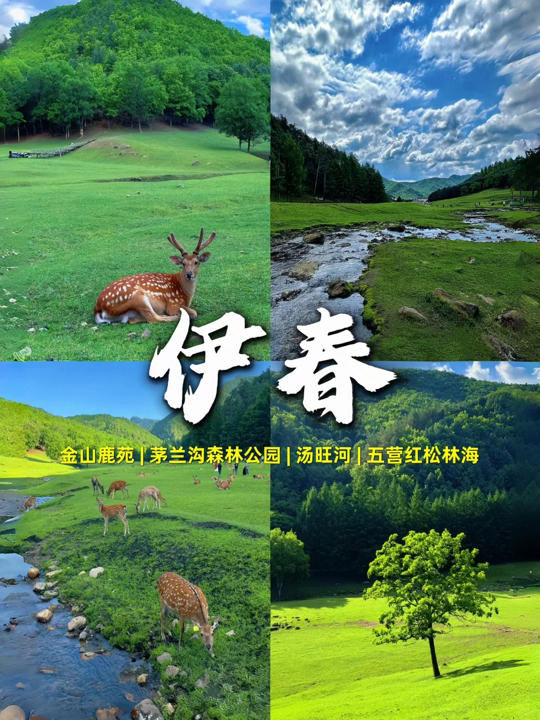 东北9个最值得去的城市🔥东北游玩攻略