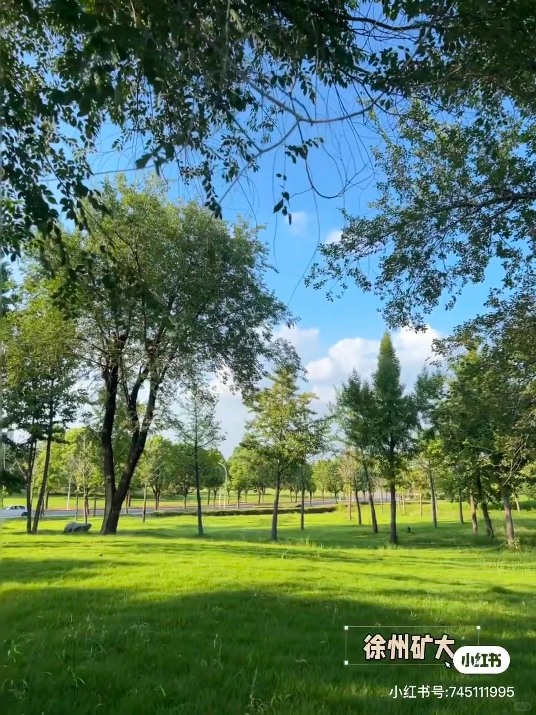 五一来徐州旅游，请收下这份攻略！