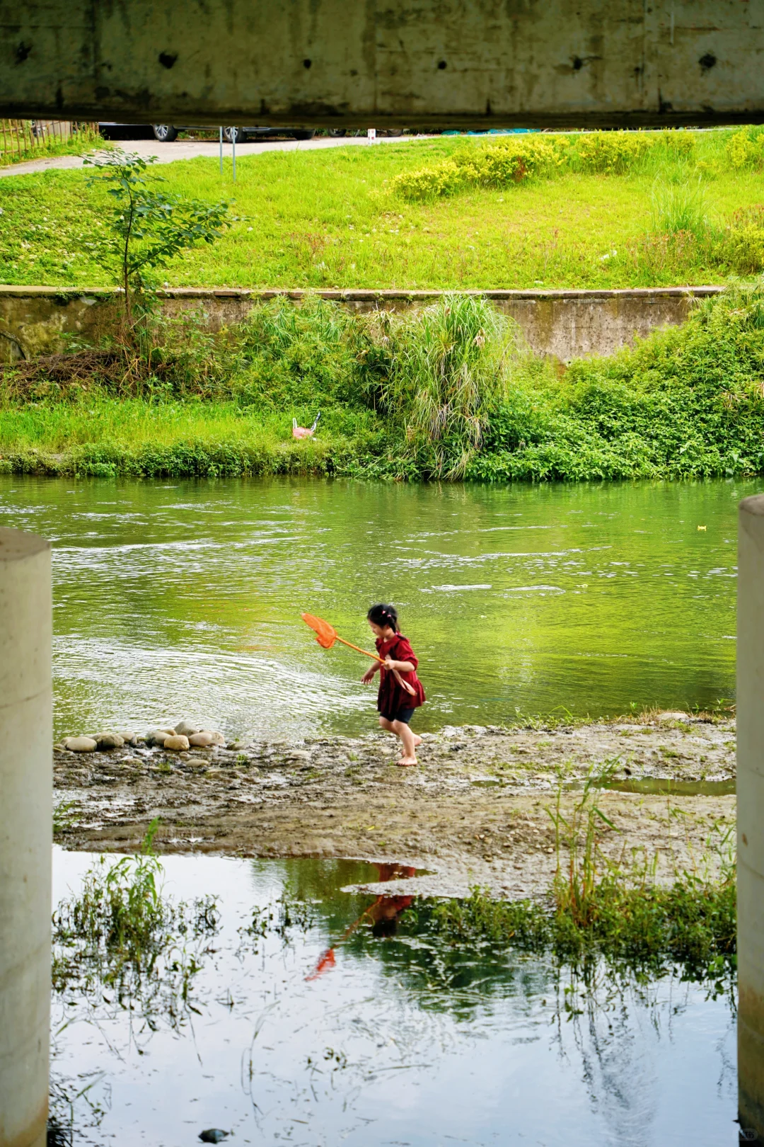 成都最美的景点果然都是免费的......