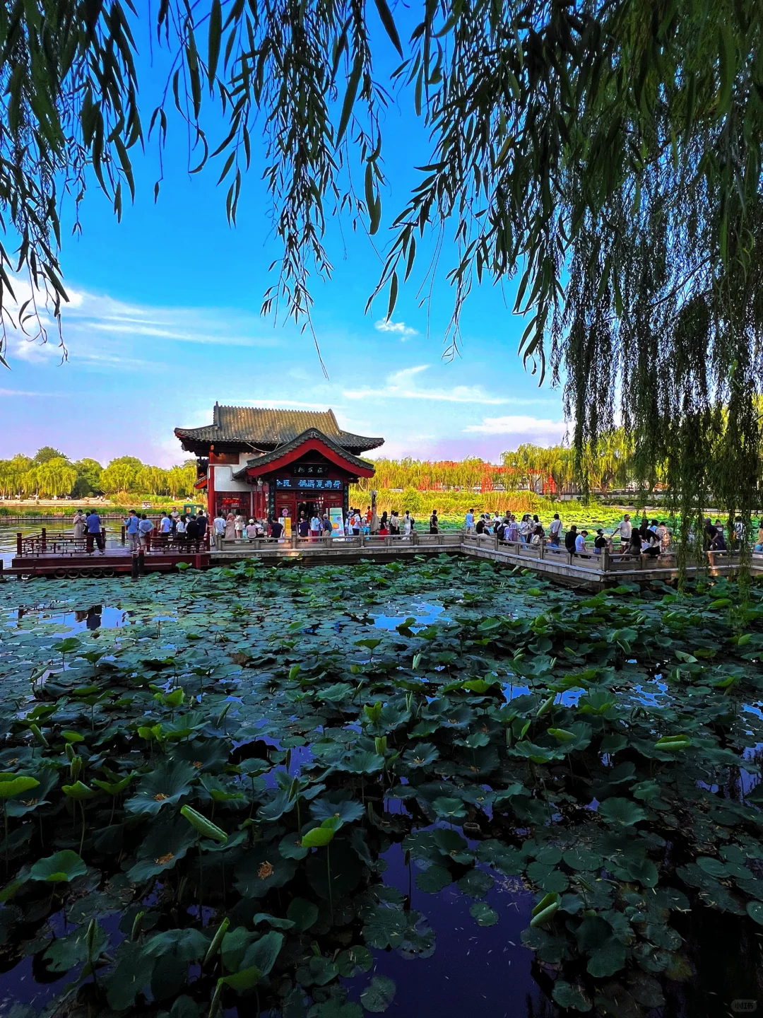 济南，免费景点凑不出两张人像发朋友圈🙂‍↔️