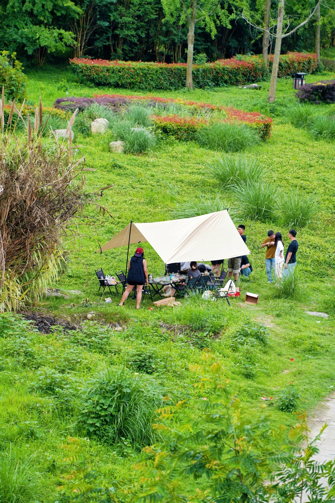 成都最美的景点果然都是免费的......