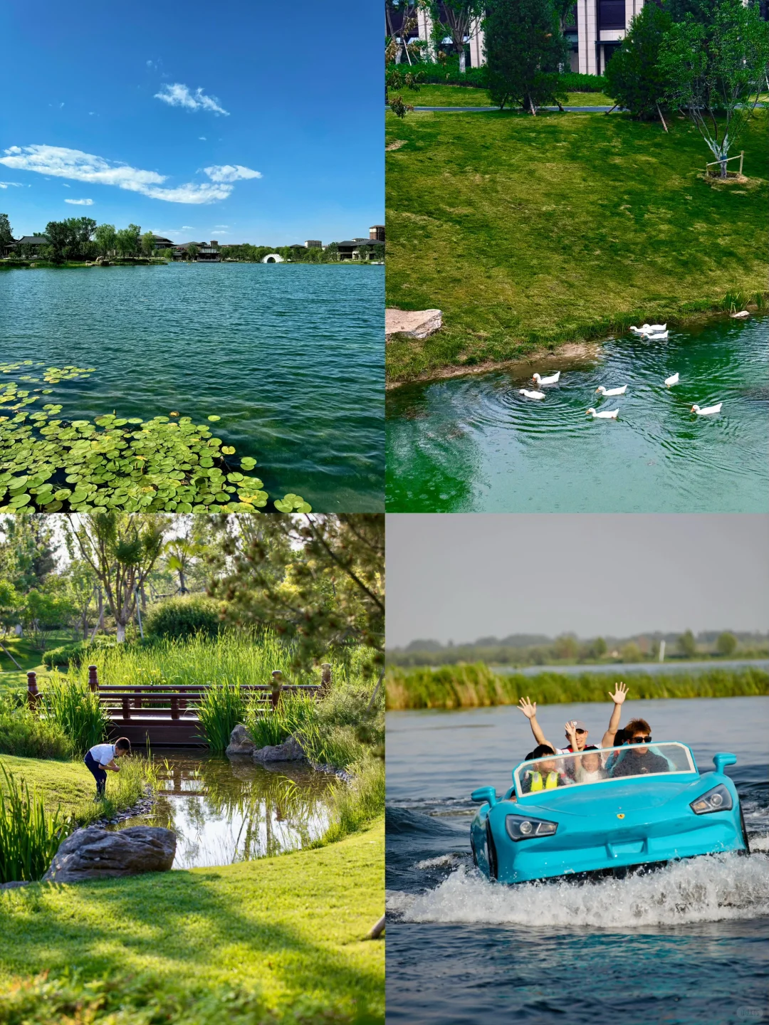 🌈保定| 6-8月来真香！华北腹地的夏韵浪漫之