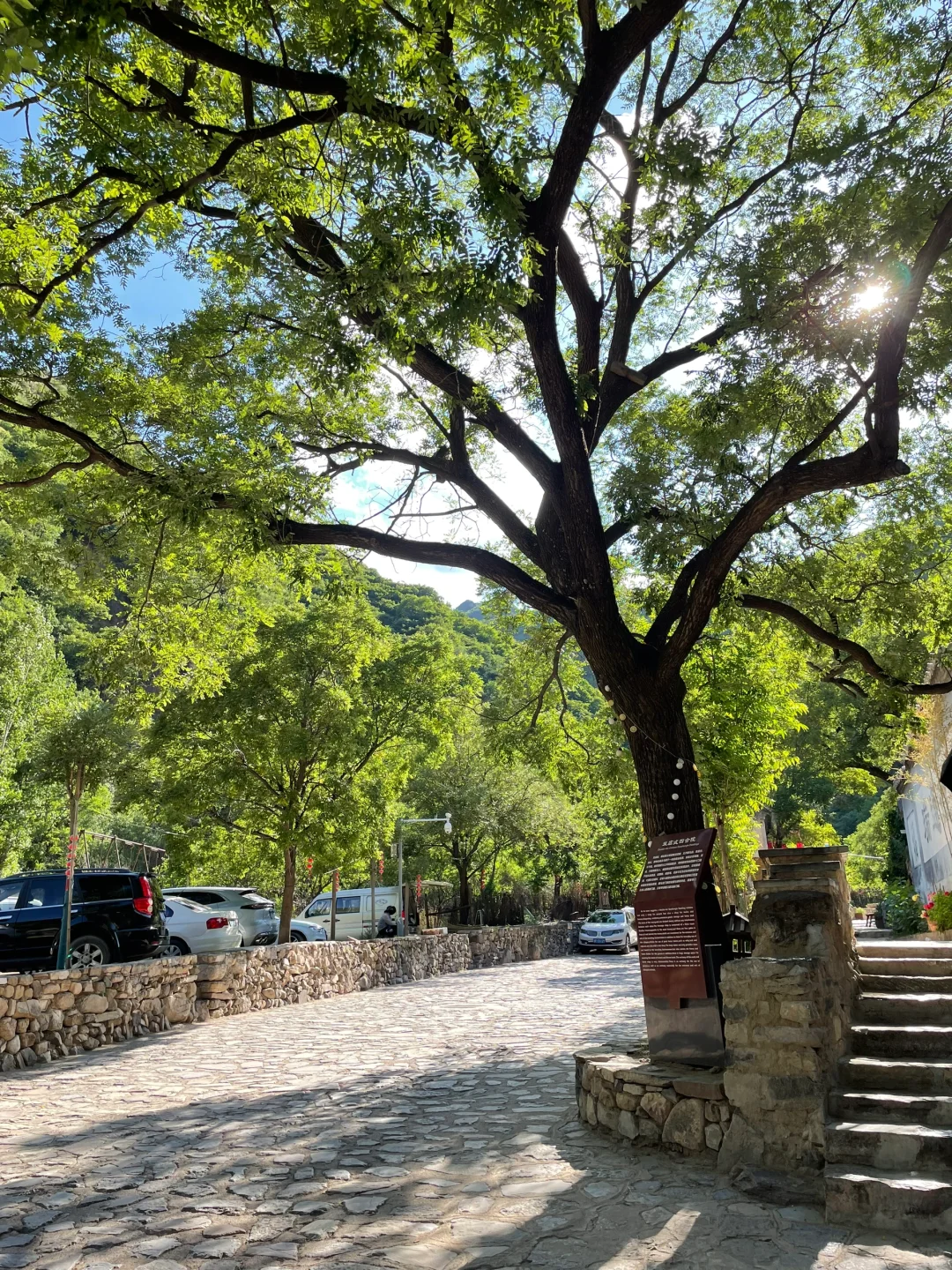 周末出游| 这个村子像极了姥姥家的古村……