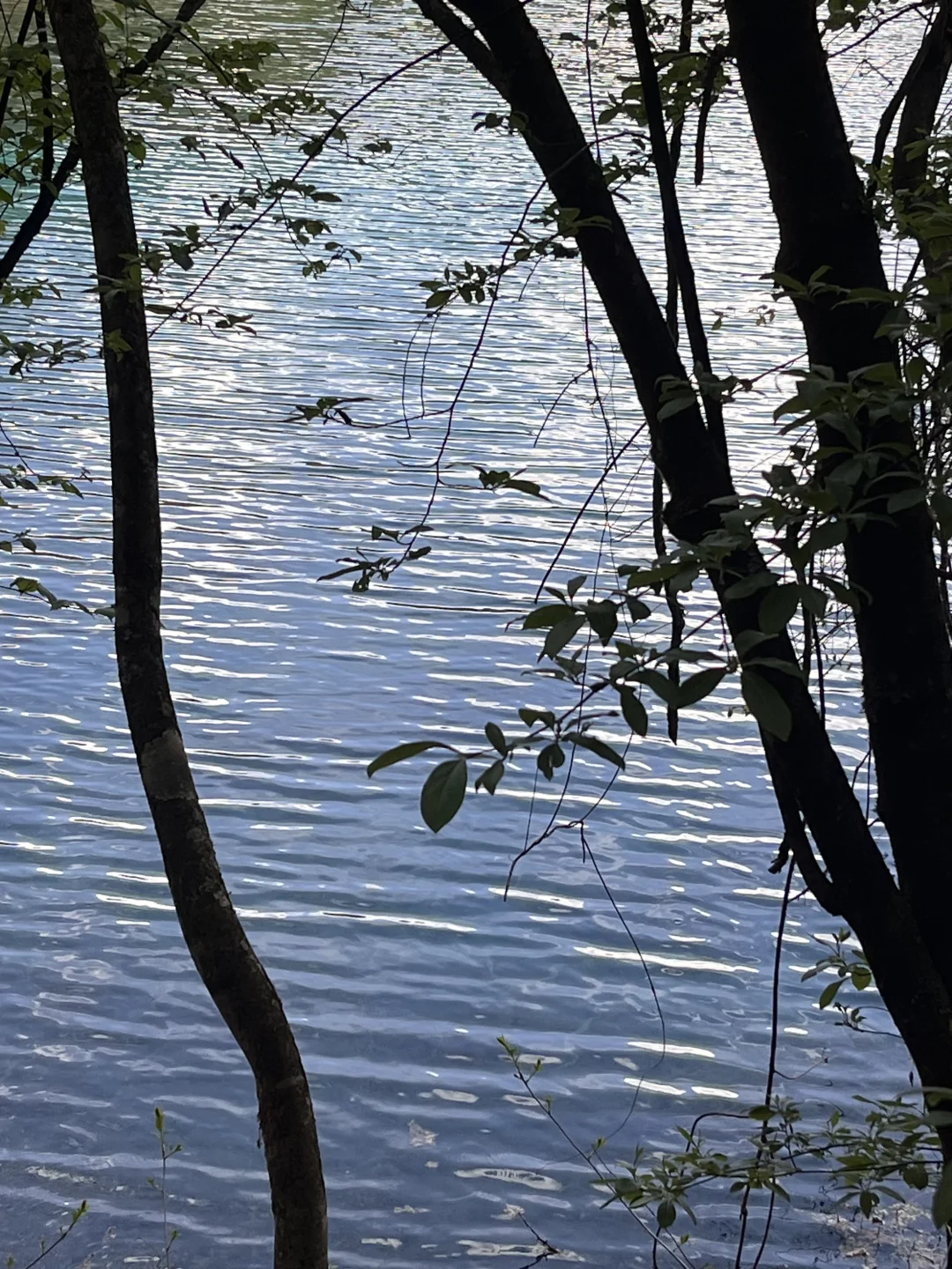 九寨沟两日游攻略｜带爸妈慢旅行