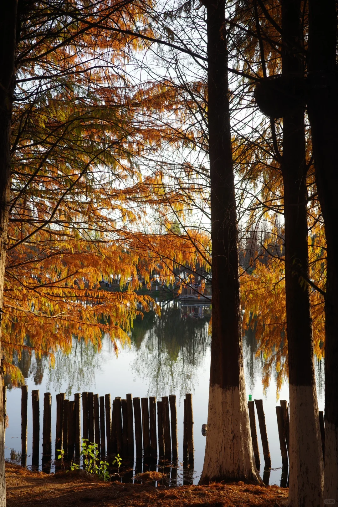 旅行干货:昆明旅游的本质是围绕三个湖