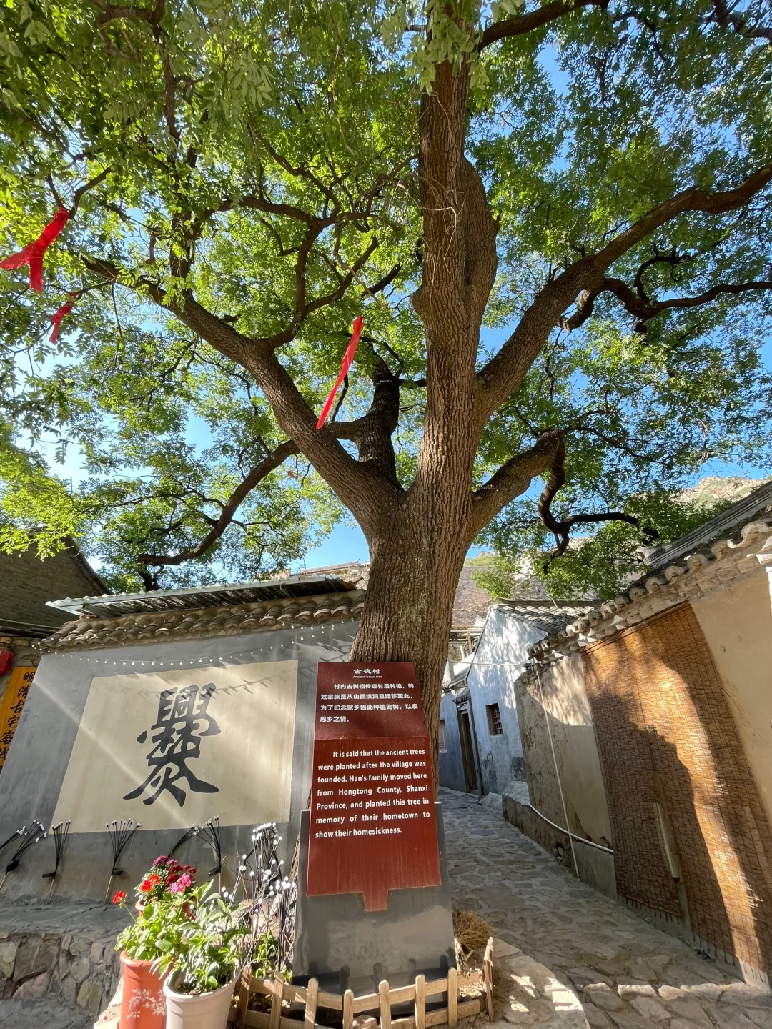 周末出游| 这个村子像极了姥姥家的古村……