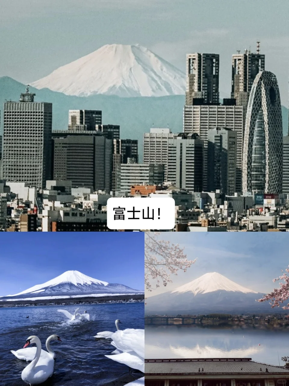 🇯🇵日本7日路线｜自由行不迷路！