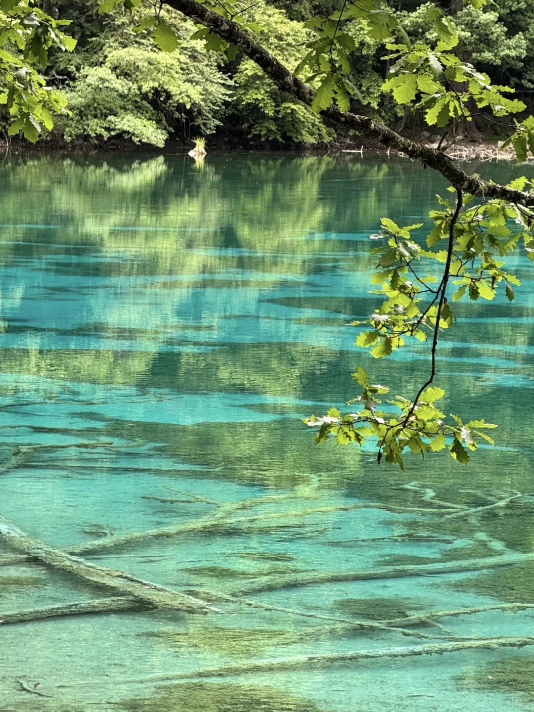 📍6.2九寨沟live已回。😭我的避雷建议是.…..