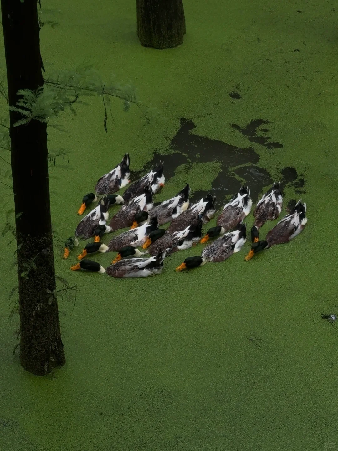 00后旅游搭子蹲蹲！主打一个发疯式快乐旅行